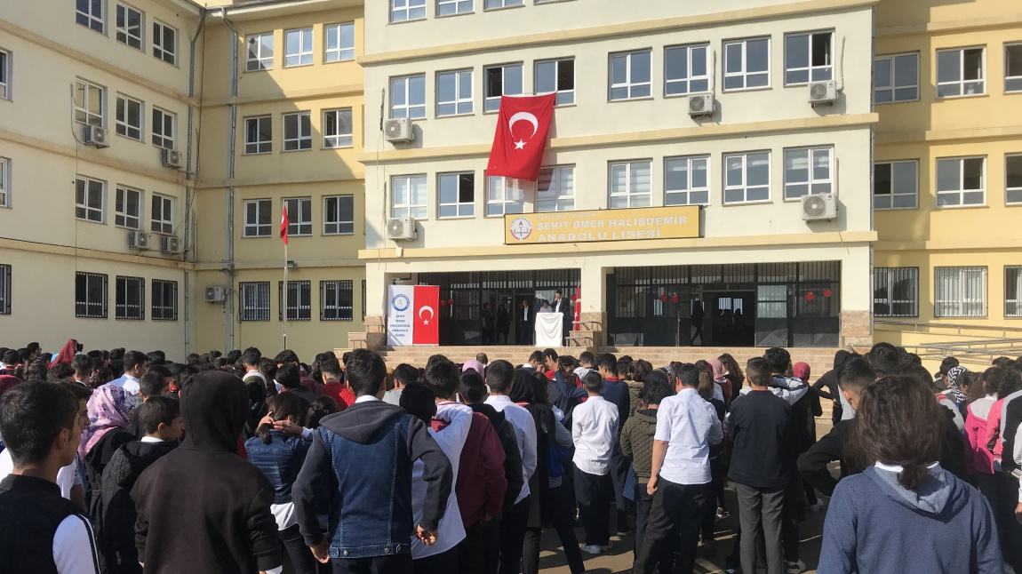 Şehit Ömer Halisdemir Anadolu Lisesi Fotoğrafı